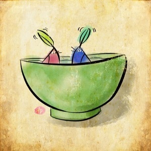 mudhooks
