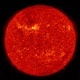 Halogi
