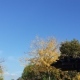 rundumadum
