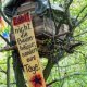 Hambacher Forst (:twitter:♻)
